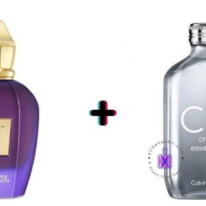 عطر ترکیبی اکسنتو + پلاتینیوم