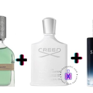 عطر ترکیبی سیلور مانتین واتر + ساواج + مگاماره