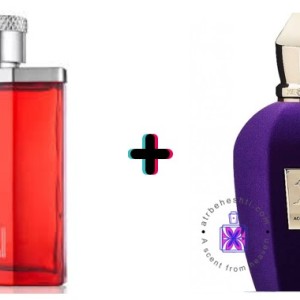 عطر ترکیبی دانهیل قرمز + اگزریوس