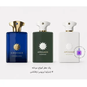 پک عطر آمواج مردانه (اینترلود مردانه + پرپوس + رفلکشن)