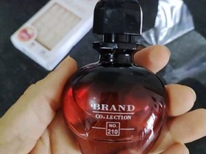 عطر پاکو رابان بلک ایکس اس زنانه برند کالکشن 210  - عطر بهشتی