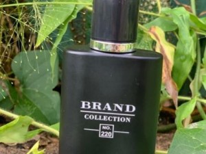 عطر جیورجیو آرمانی آکوا دی جیو پروفومو برند کالکشن 220  - عطر بهشتی