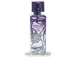 عطر لالیک آمیتیس اکلت برند کالکشن 081