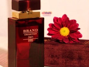 عطر دولچه گابانا پورفم اینتنس برند کالکشن 088