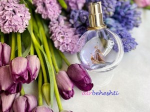 عطر گرمی اکلت لانوین - عطر بهشتی