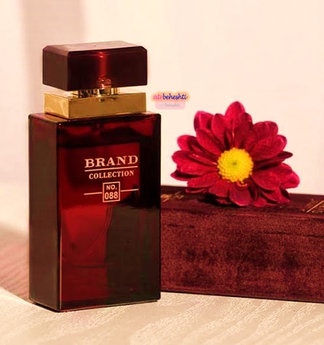 عطر دولچه گابانا پورفم اینتنس برند کالکشن 088 - عطر بهشتی