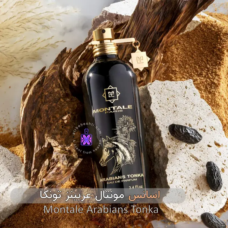 عطر مونتال عربینز تونکا| Arabians Tonka - عطر بهشتی