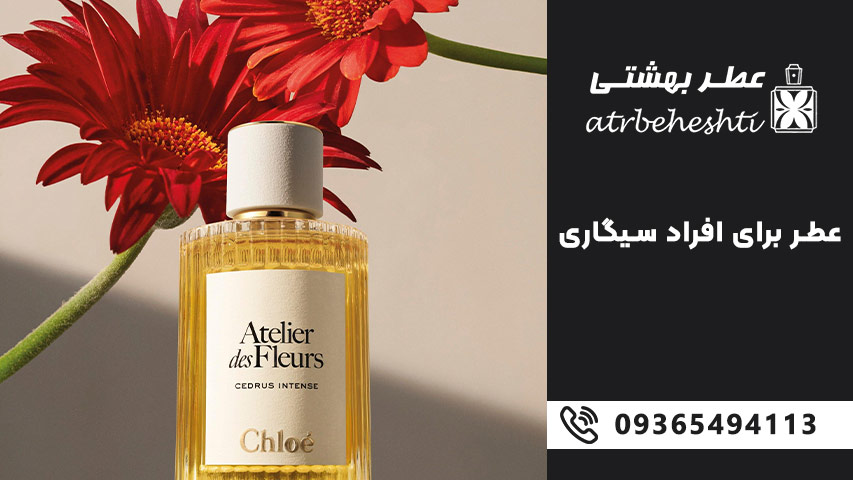 عطر مخصوص زنان سیگاری