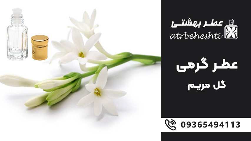 بررسی عطر گرمی گل مریم