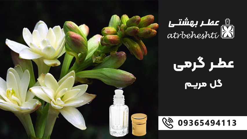 طعم عطر گرمی گل مریم