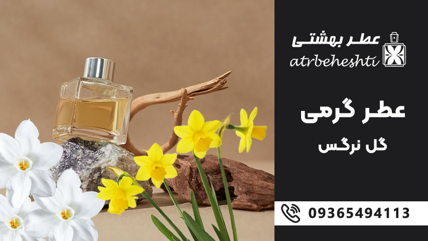 خرید عطر گرمی گل نرگس