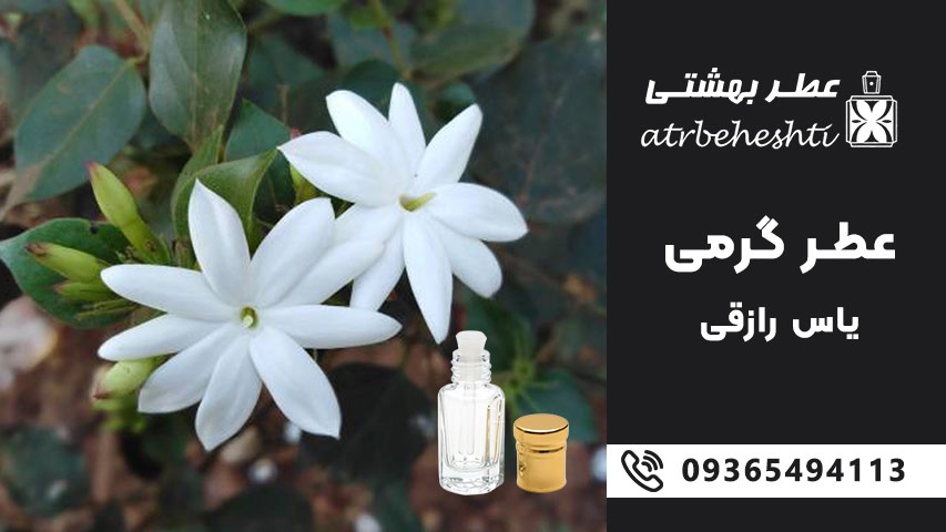 عطر گل یاس رازقی خالص گرمی چند؟