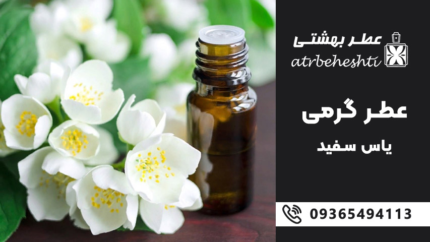 عطر گرمی یاس سفید را از کجا بخریم؟