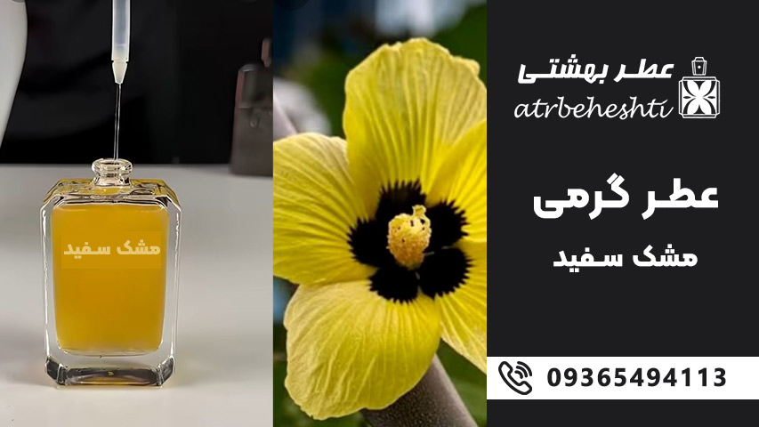 قیمت عطر گرمی مشک سفید