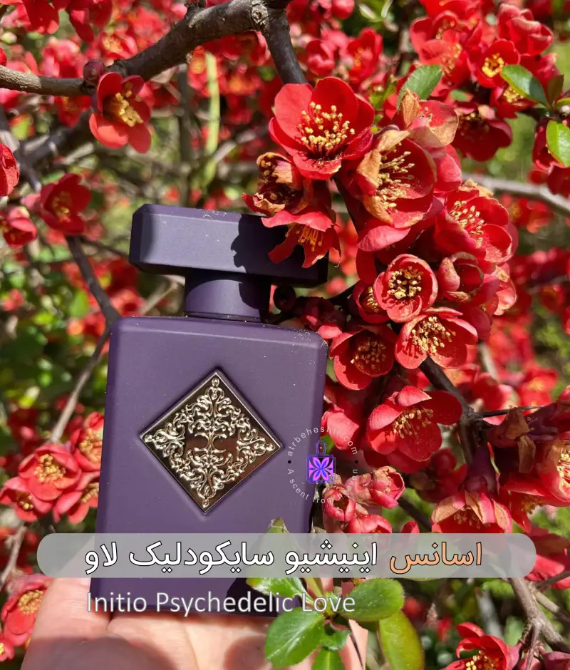 عطر اینیشیو سایکودلیک لاو - عطر بهشتی