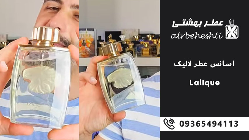 بررسی انواع اسانس عطر لالیک