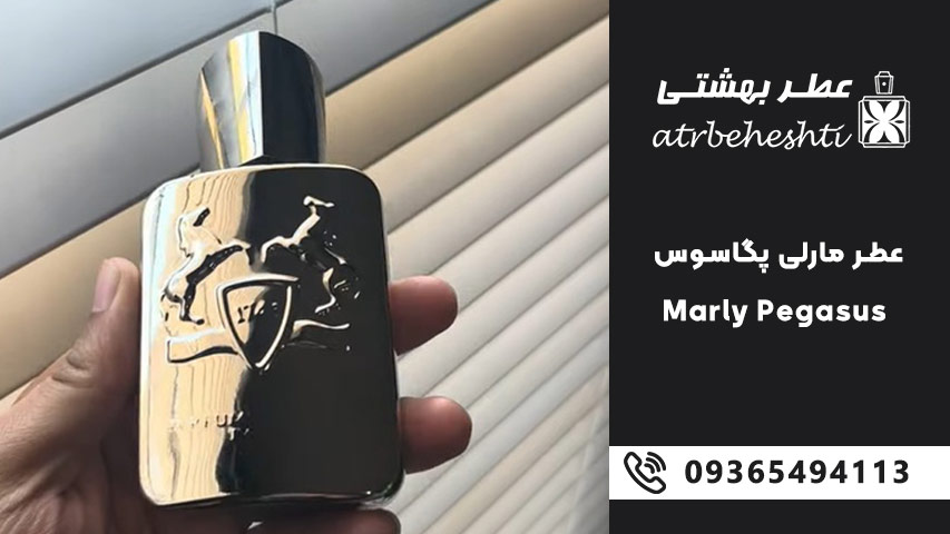 بررسی عطر گرمی مارلی پگاسوس
