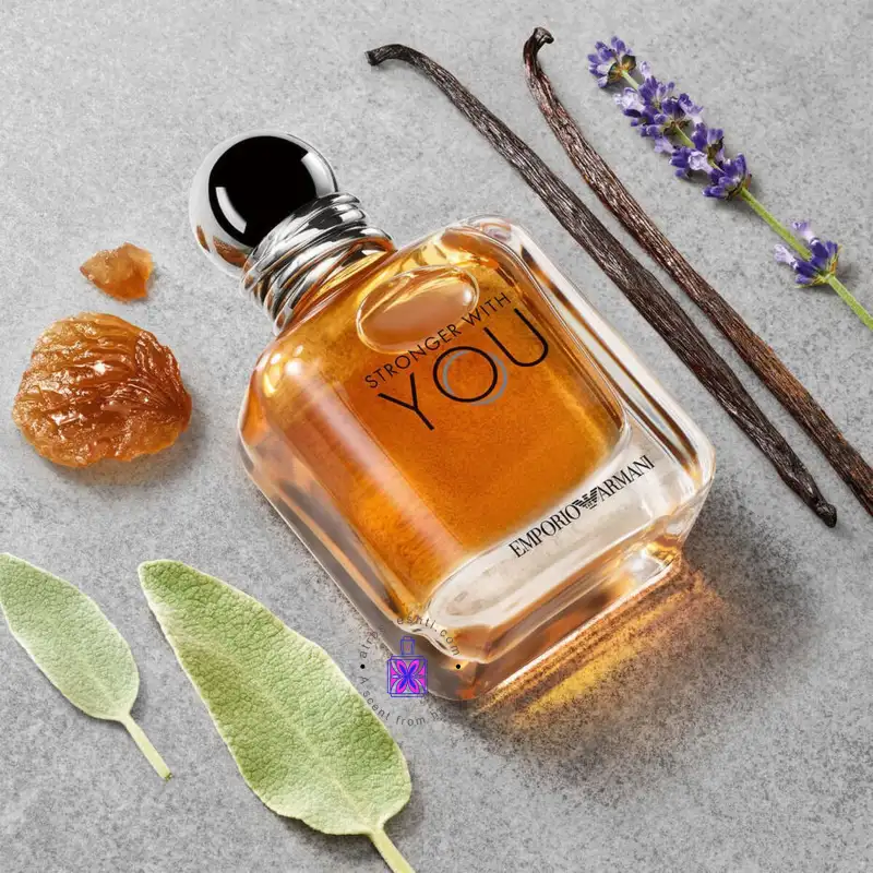 رایحه عطر you مردانه