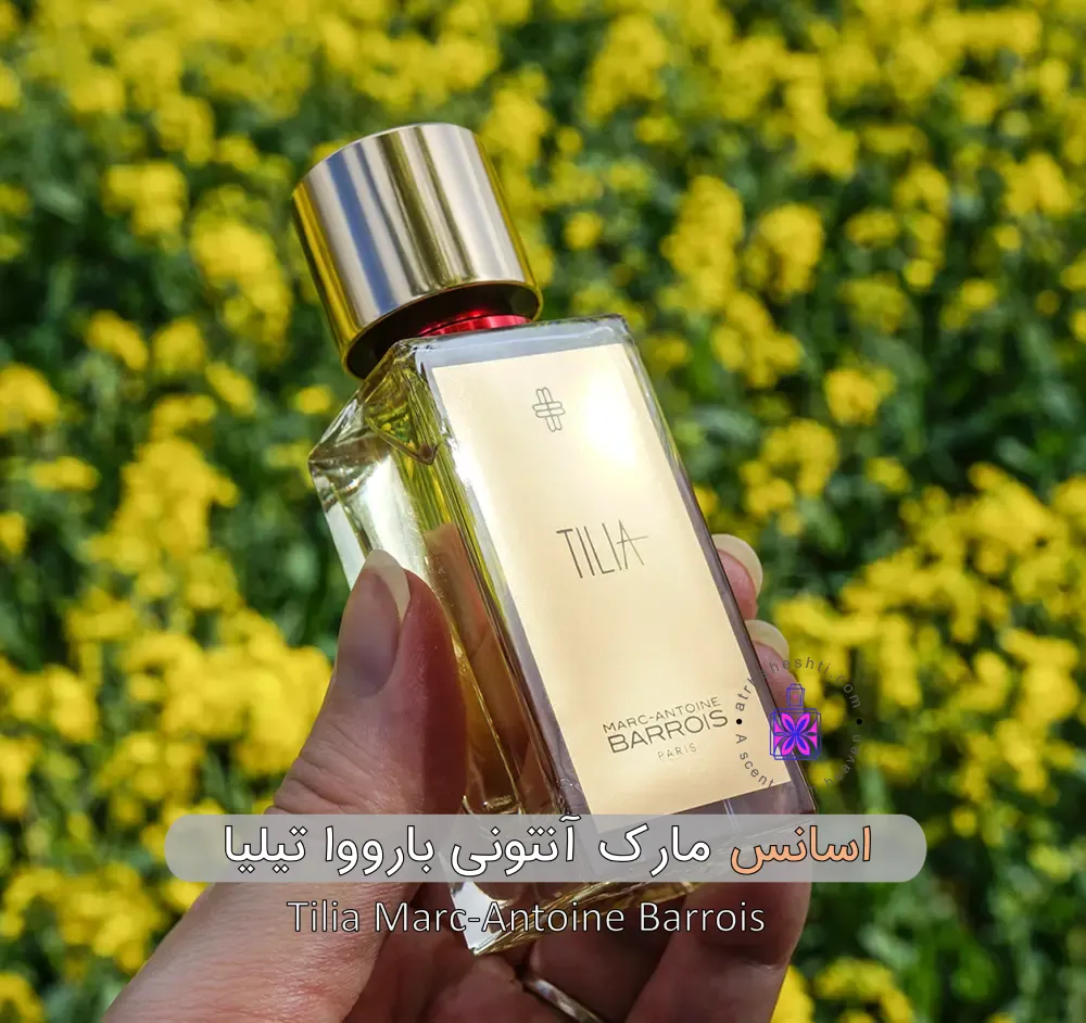 عطر مارک آنتونی بارووا تیلیا|گلی |آجیلی - عطر بهشتی