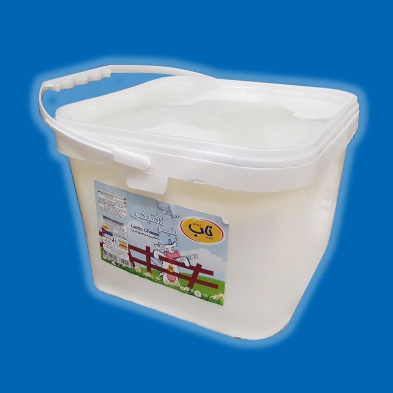 پنیر لاکتیکی10 کیلوگرمی