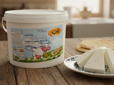 پنیر سطلی یک انتخاب عالی از لبنیات