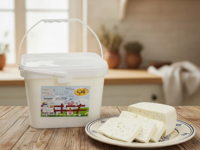 پنیر لاکتیکی بررسی ویژگی‌ها و مزایای آن