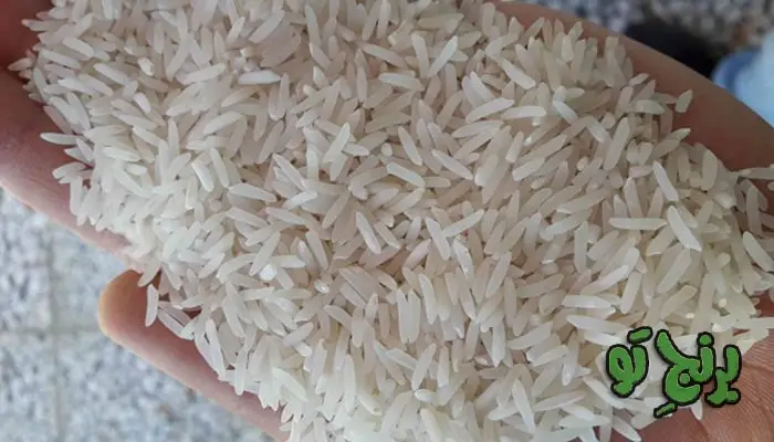 برن جر از انواع برنج ایرانی