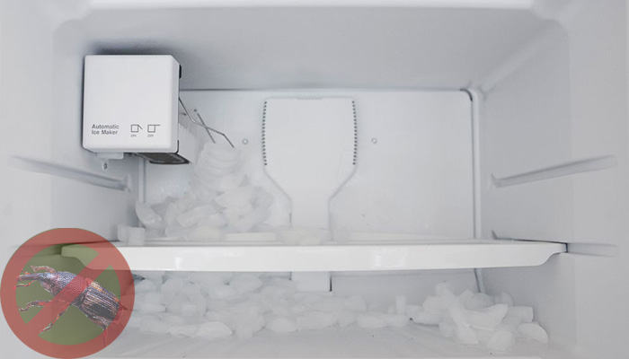 استفاده از فریز یخچال جهت کشتن حشرات