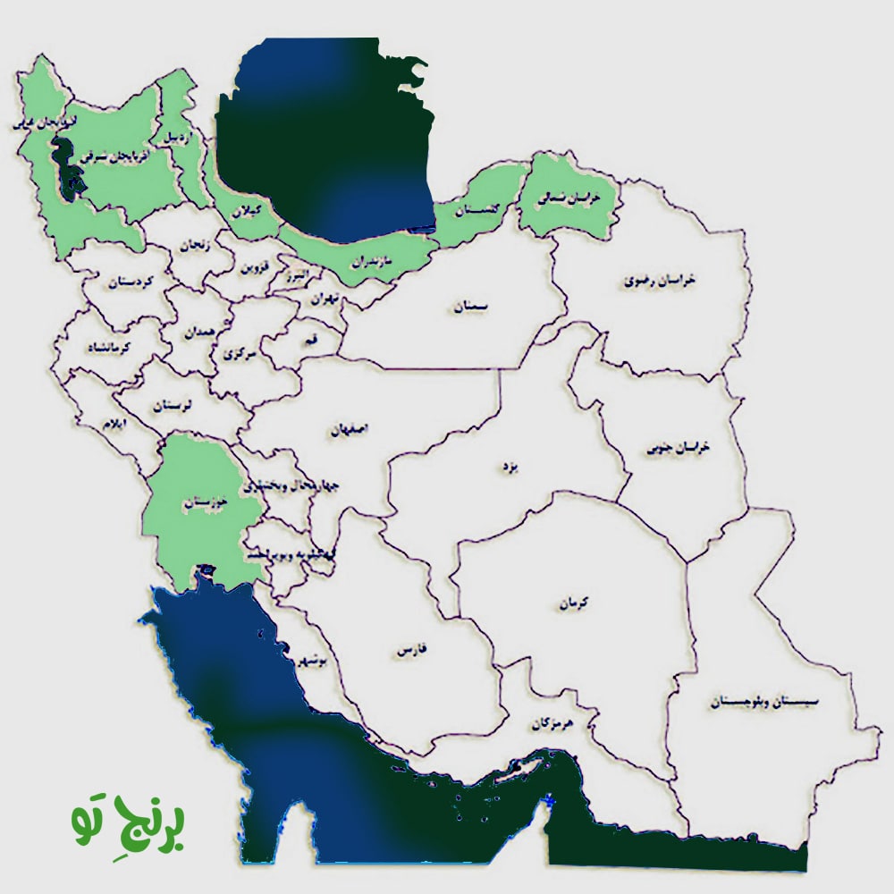 مناطقی که بیشتری برنج ایرانی در آنجا کاشت و برداشت می شود