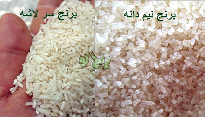 مقایسه ظاهر برنج سرلاشه و نیم دانه 