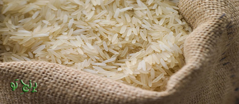 بافت یکدست برنج