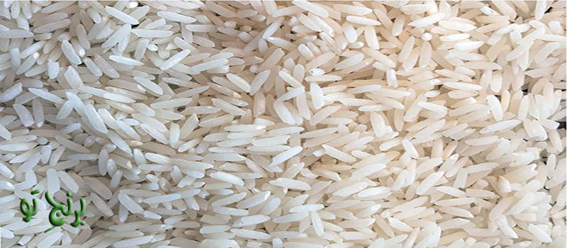 ظاهر برنج ایرانی بدون ترک عرضی 