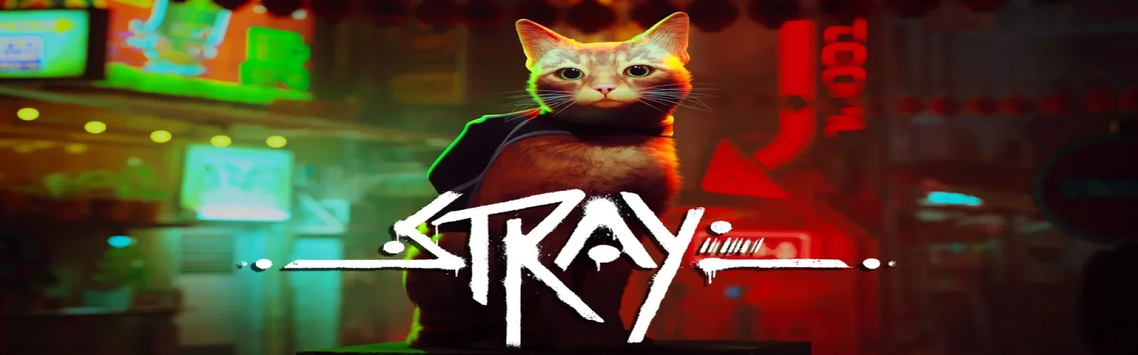 فیلم Stray