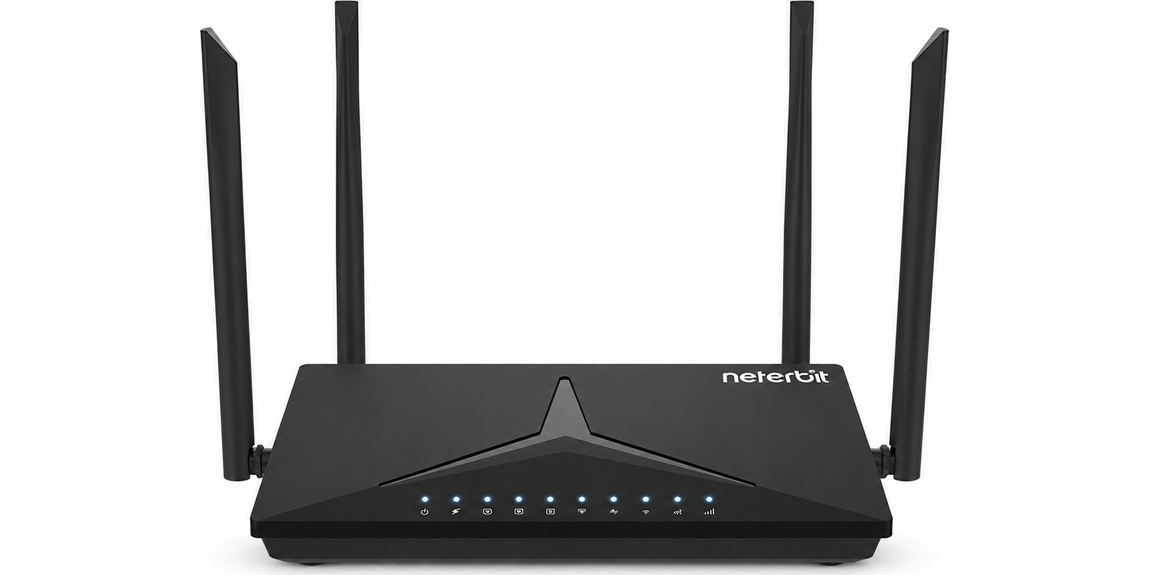 نمای کلی مودم روتر Neterbit NWR-M920 4G LTE N300