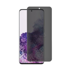 گلس هیدروژلی پرایوسی سامسونگ S20 Plus