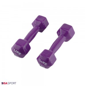 دمبل 2 کیلوگرمی روکش دار لاین مدل BS-38