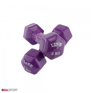 دمبل 2 کیلوگرمی روکش دار لاین مدل BS-38