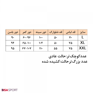 ست باشگاهی مردانه نایک مدل NIKE PRO سبز