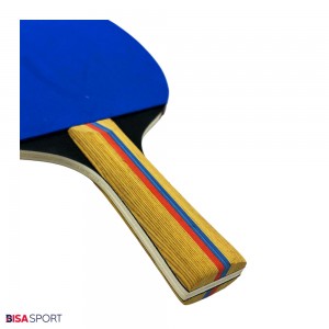 راکت پینگ پنگ جفتی به همراه 4 عدد توپ