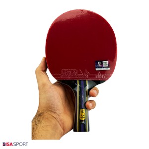 راکت پینگ پنگ لوکی 6  ستاره مدل R6