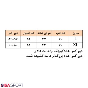 ست تاپ و شلوارک بسکتبالی جردن | آبی