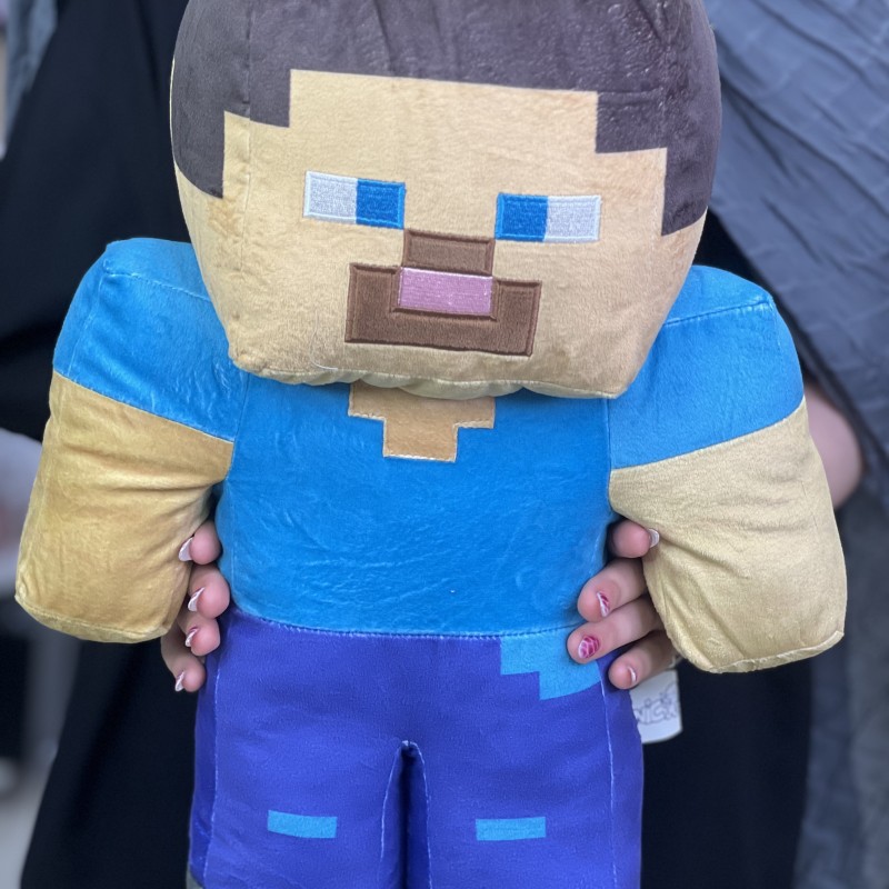 ماینکرفت استیو بزرگ