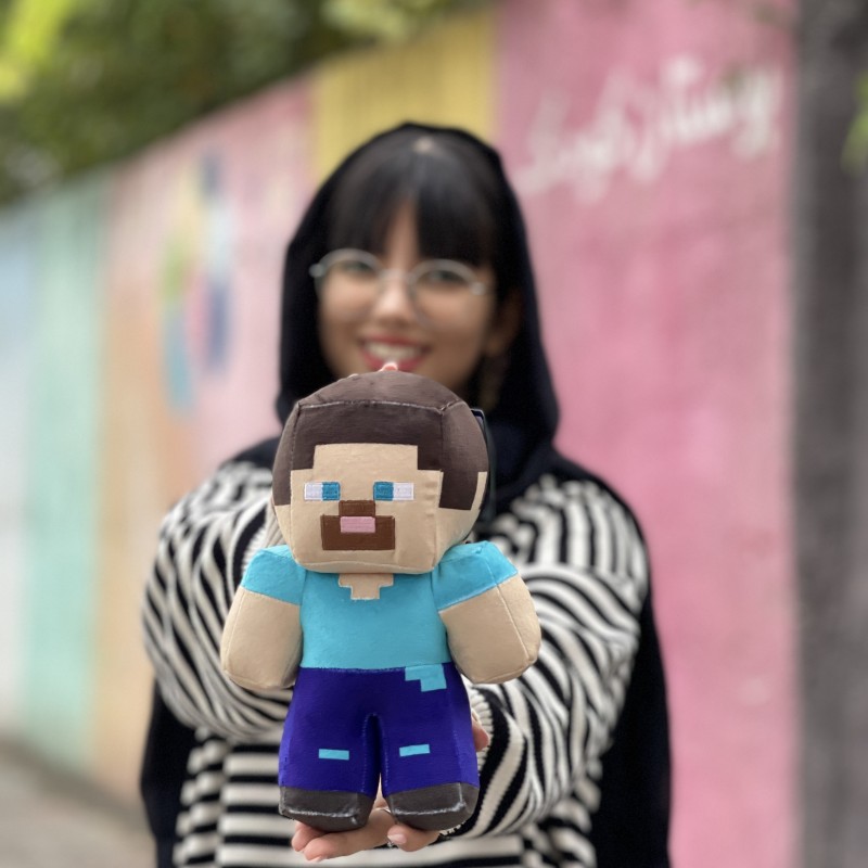 ماینکرافت استیو متوسط
