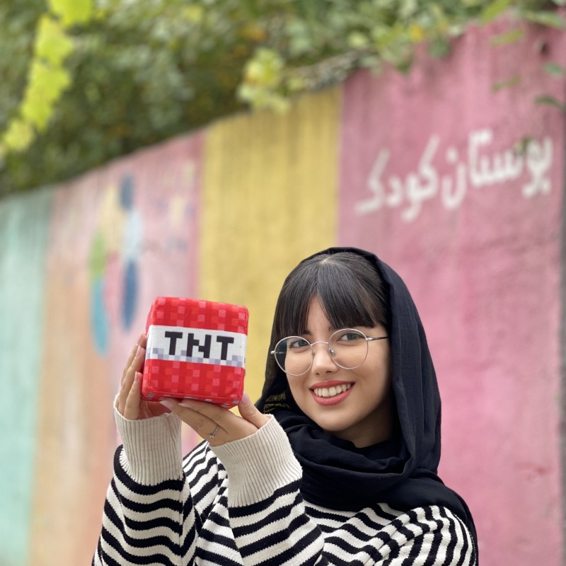 ماینکرافت تی ان تی (TNT)