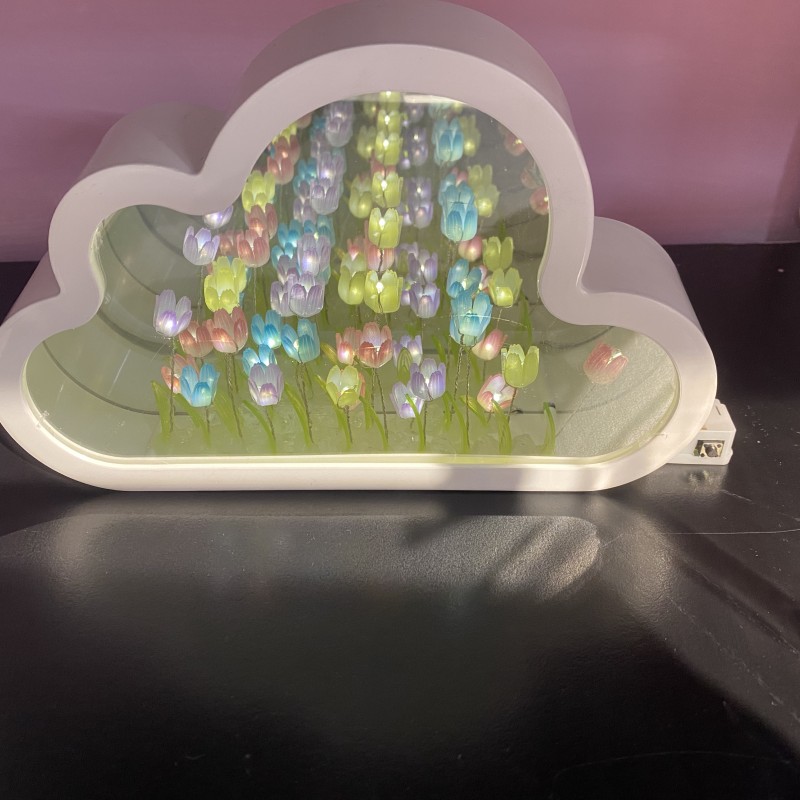 چراغ خواب دشت گل لاله