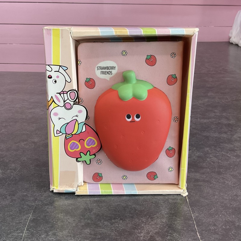 دفترخاطرات اسکوییشی توت فرنگی