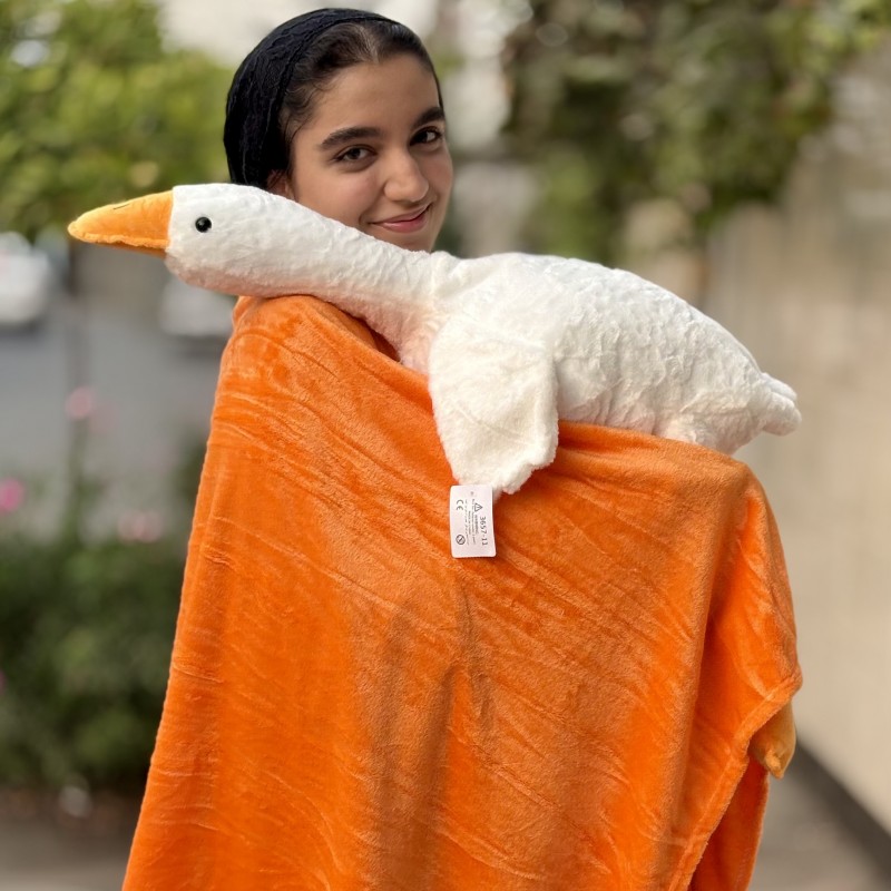 پتو بالشتی غاز