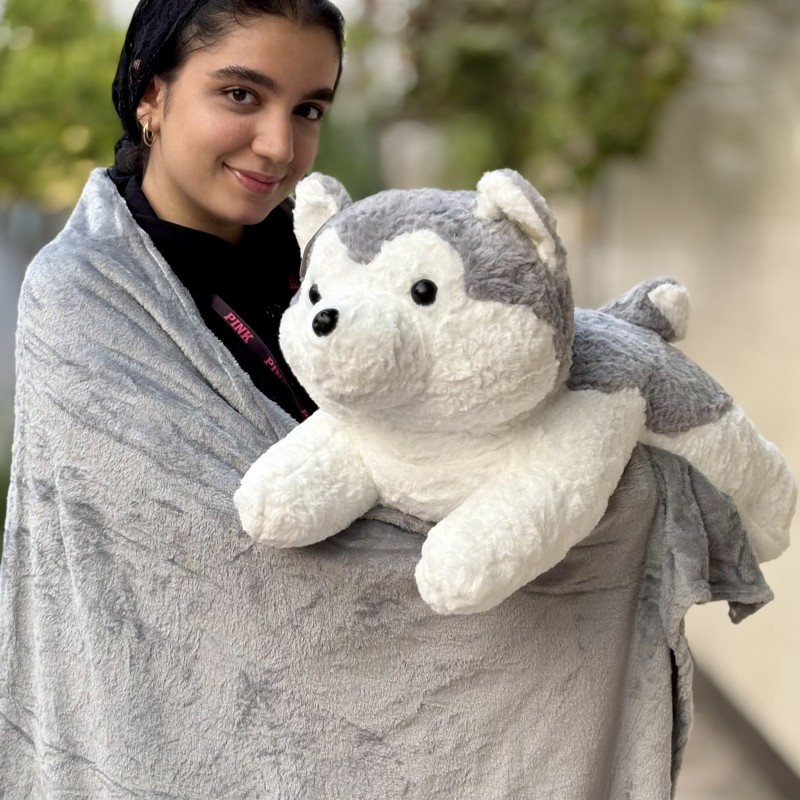 پتو بالشتی سگ نشسته طوسی