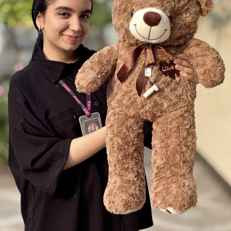 پتو بالشتی خرسی قهوه‌ای