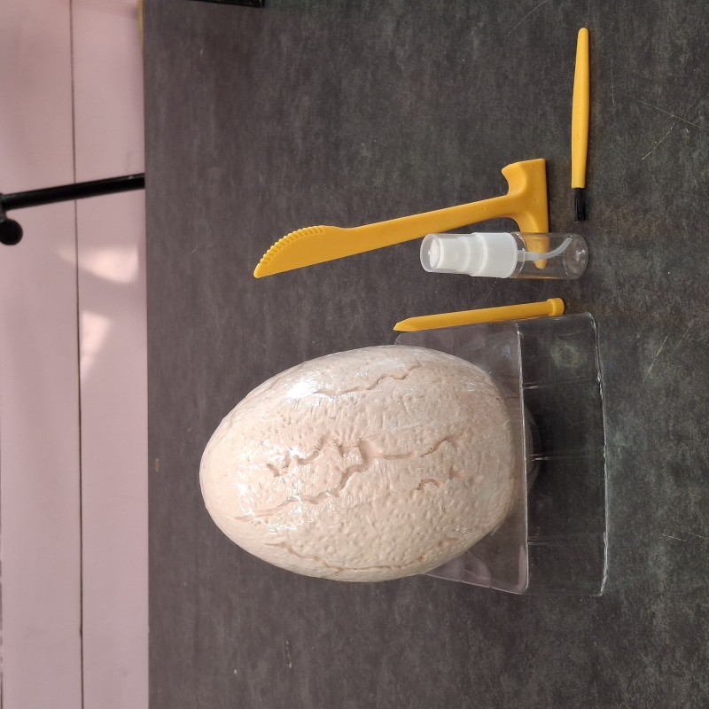 باستان شناسی تخم دایناسور (عمده)